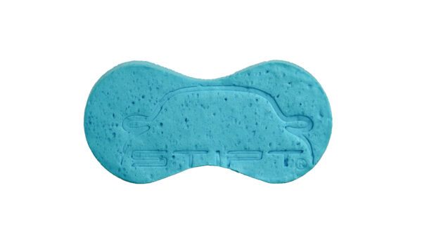 Wash Sponge JPG